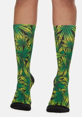 rollover