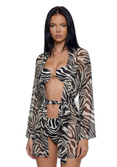 six|zebra