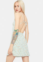 rollover