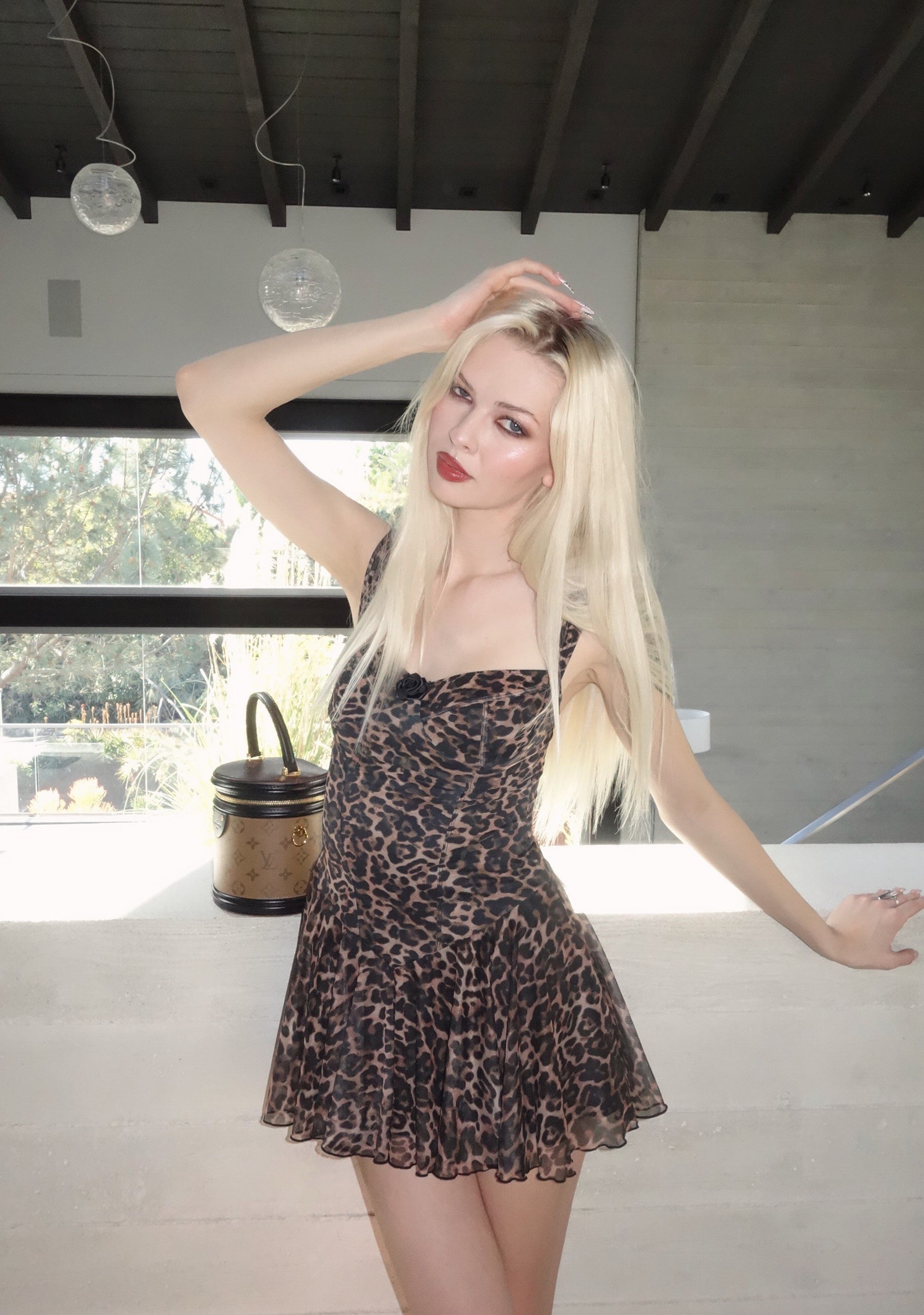 six|leopard